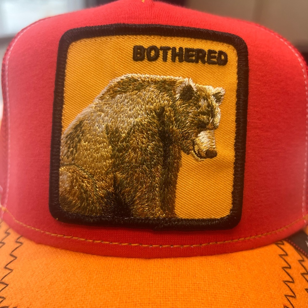 NWT - Goorin Drop “Hundred Acre Wood” 🍯 🐝 🐻